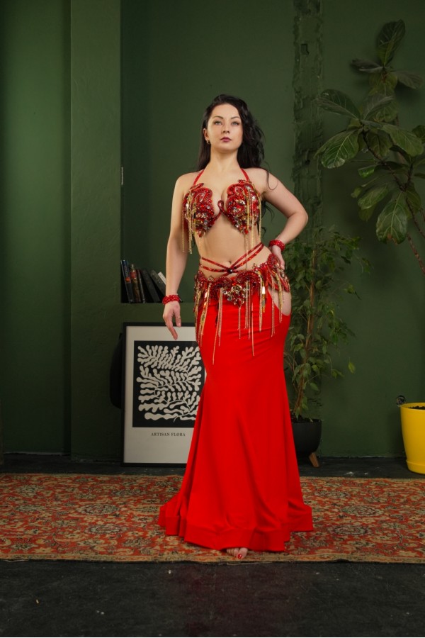 Professional bellydance costume (Classic 351A_1)